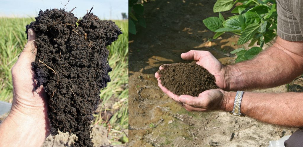 Two images are shown. In the left, a chunk of topsoil with granular structure and many roots is held by a disembodied hand with a green field in the background. In the right, a person holds two open hands together to hold some dark topsoil material.
