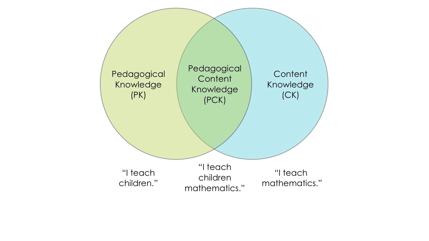 pedagogical content knowledge essay