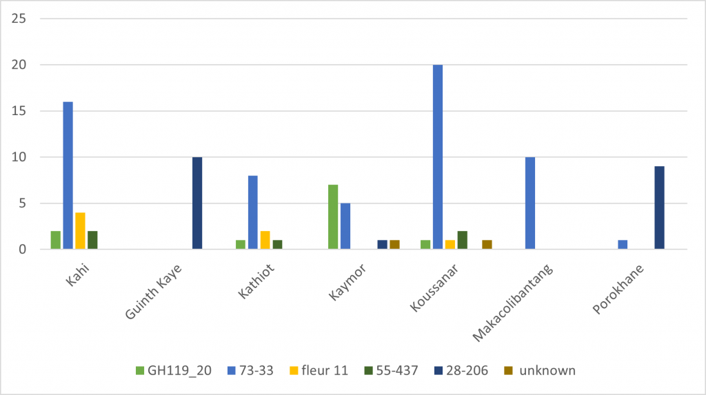 Vertical bar chart demonstrating Popular Varieties Cultivated in the Studied Sites. 7 regions are represented with 6 bars (yellow - fleur 11, blue - 73-33, green - GH119_20, dark green - 55-437, dark blue - 28-206, brown - unknown).