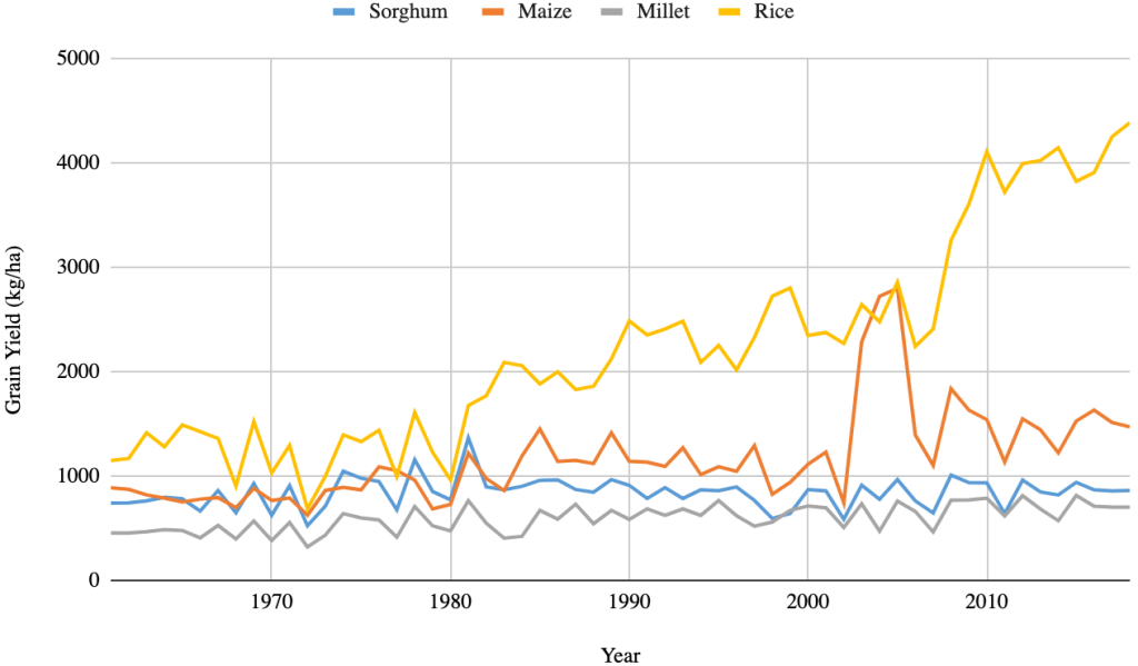 Figure 2c shows Grain Yield (kg ha-1). Rice is the highest ranging from 1000 kg/ha to 4250 kg/ha, increasing consistently after 1980. Maize ranges from 980 kg/ha to 2800 kg/ha peaking in the early 2000s. Sorghum ranged from 500 kg/ha to 1500 kg/ha peaking in the early 1980s. Rice began at 500 kg/ha and changed little.