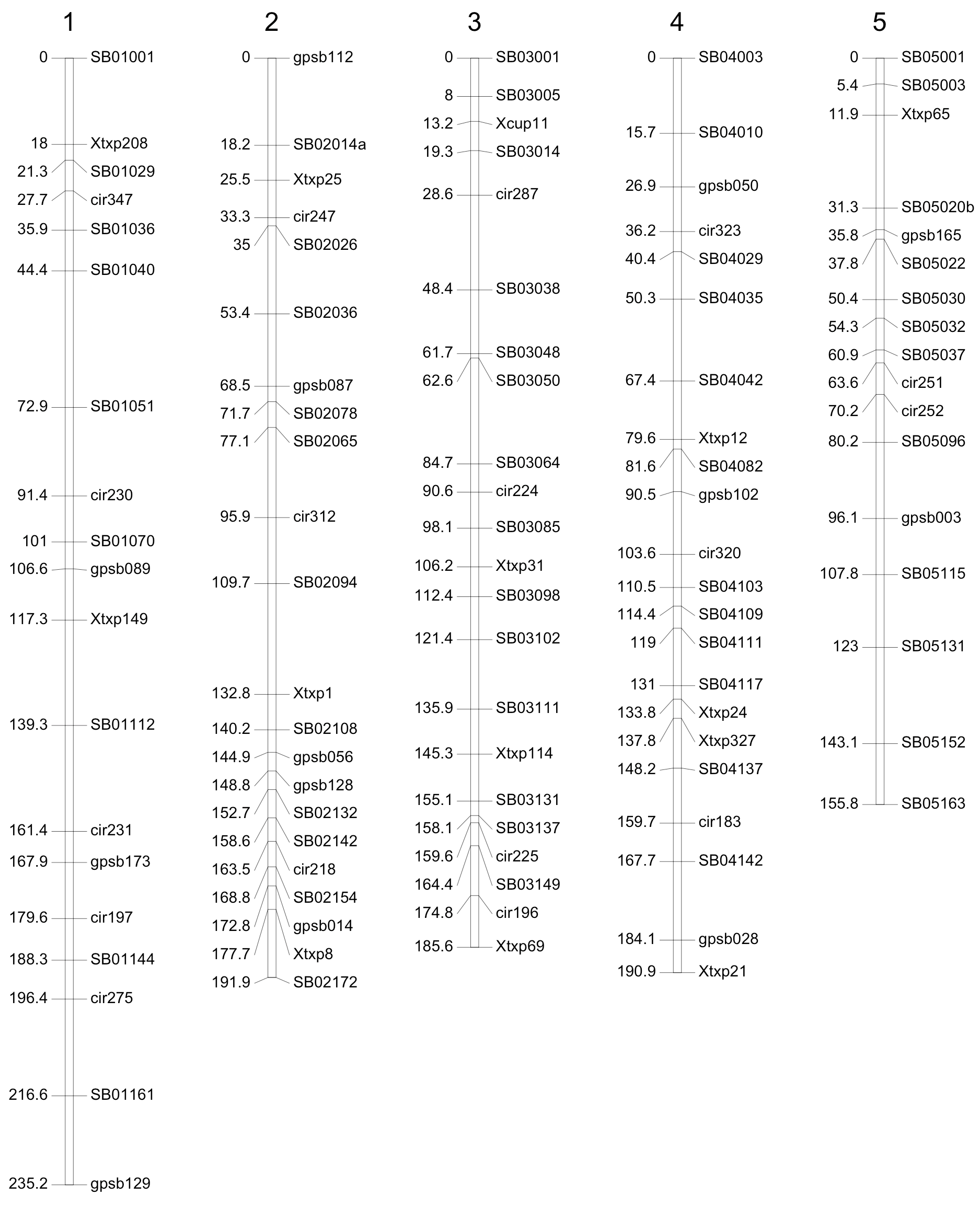 Rows 1-5 of a Genetic Map with 200 Loci (124 SNP, 76 SSR) used for QTL Detection of P114