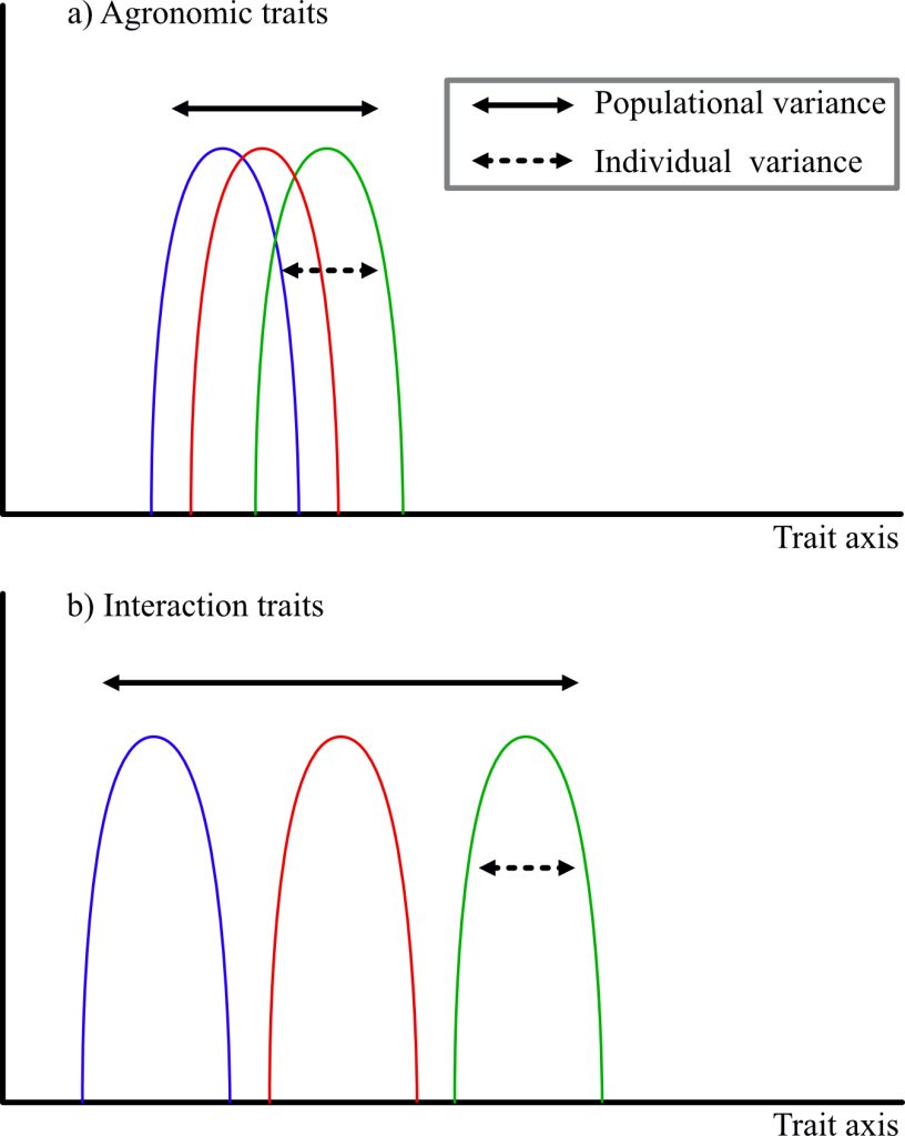 2 images with bell curves showing that the population buffering is the variance across all individuals in population & therefore of intra-population diversity. Image 1 shows agronomic traits as 3 bell curves (purple red, green) overlapping each other. Image 2 shows interaction traits as 3 bell curves (purple red, green) separate from each other.