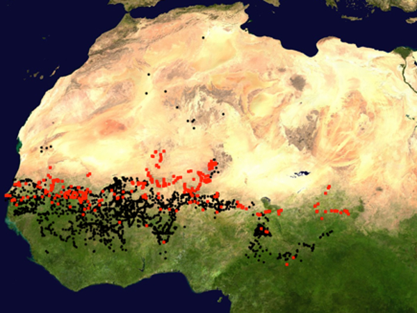 Geographc map of North Senegal showing scatter plots of Wild Ancestor of Pearl Millet Found in More Extreme Northern Latitudes than the Cultivated Populations.