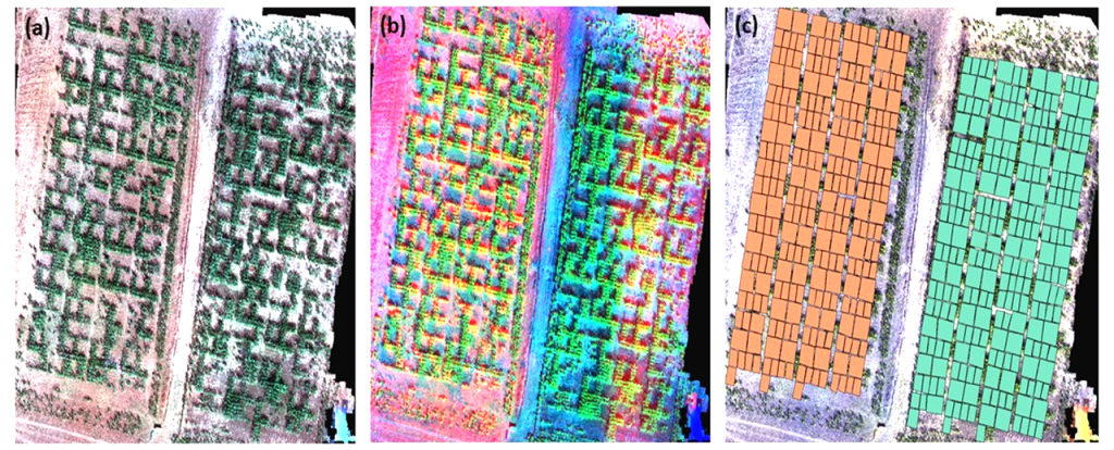 3 images demonstrating Outputs of an RGB Image Showing Spatial Variation Based on Some Vegetation Indices (VIs) on Soil-free Orthomosaic Data. Image (a) shows sky view of 2 identical fields with gray ground and green plants. Image (b) shows sky view of 2 identical fields with various bright colors with more pink on left field and more blue on right field. Image (c) shows sky view of 2 identical fields with orange boxes covering the plots on the left field and green boxes coving the plots on the right field.