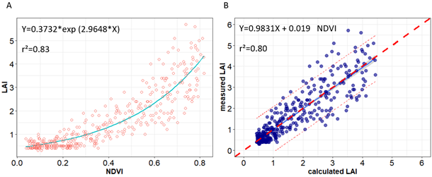 2 scatter plot line graphs demonstrating Calibration of LAI prediction model from NDVI vegetation index. Graph A shows a curved line gradually increasing in LAI across NDVI X axis. Graph B shows a linear line increasing in measured LAI across calculated LAI X axis.