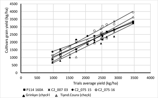 6 lines with scatter plots on slight incline, comparing cultivars grain yield on y axis of chart and trials average yield on x axis of chart