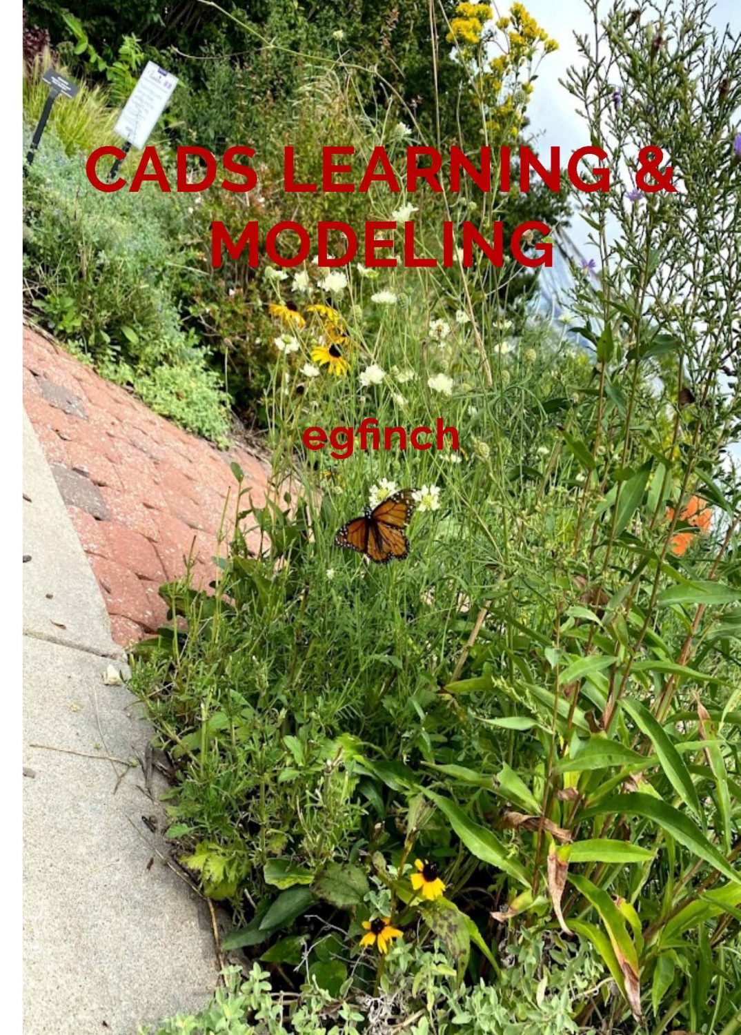 Cover image for CADS Learning & Modeling