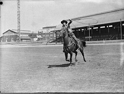 Cowboy with lassso