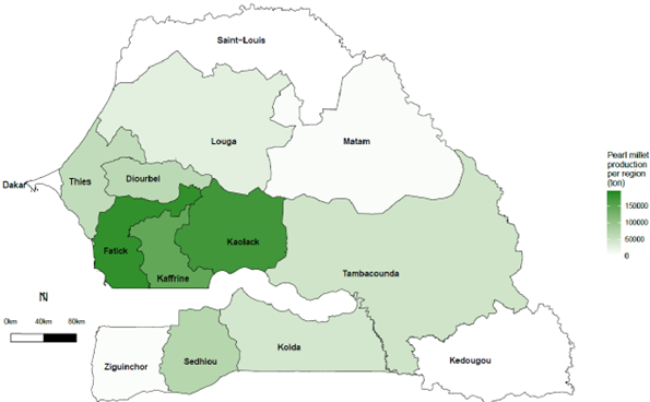 Figure 1 - Map showing distribution of Pearl Millet Production Areas in Senegal During the Rainy Season of 2020. Dark green shows more production, and regions Fatick, Kaffrine, Kaolack are darker green.