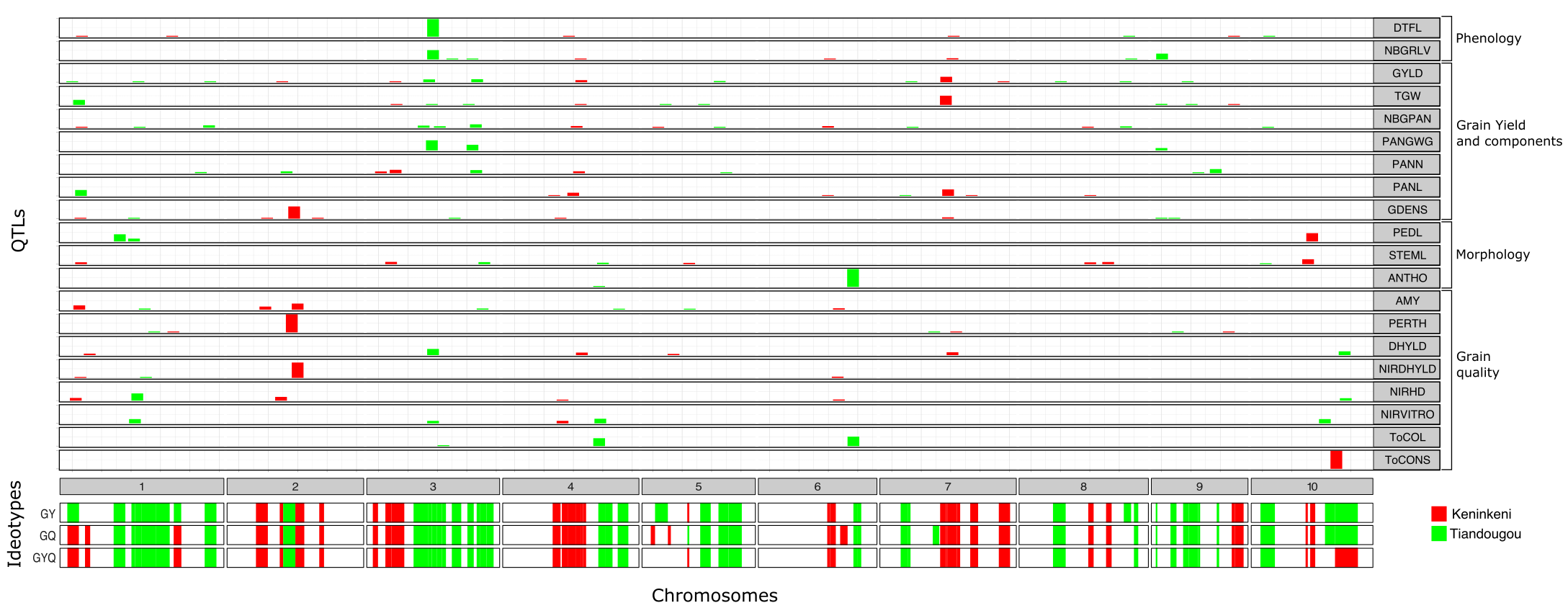 10 rows of QTLs and Ideotypes Along the 10 Chromosomes of the Genome of P114, with red and green markings.