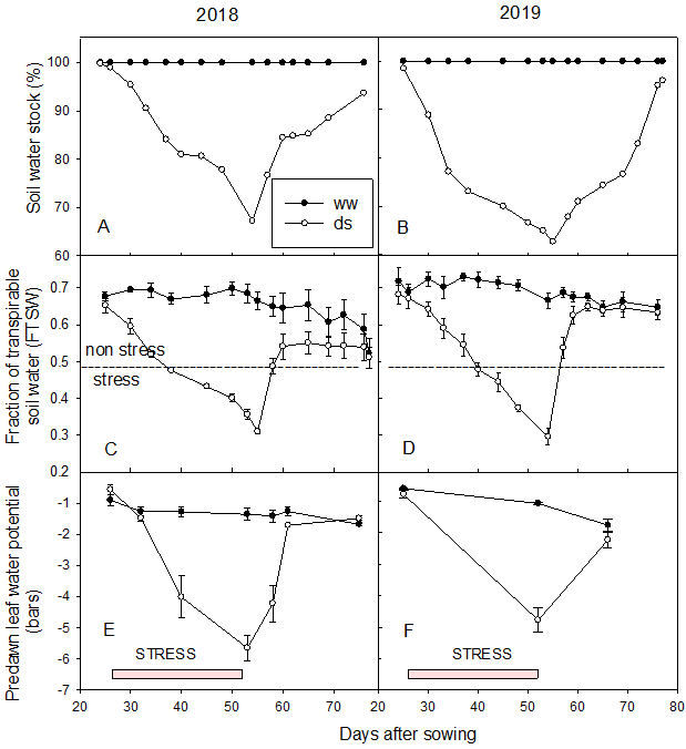 6 graphs showing Monitoring of Water Stress Parameters in Well-watered (ww) and Drought Stress (ds) Treatments. Graph A shows 2 plots lines demonstrating soil water stock percentage with ww (black) & ds (white) in 2018. Graph B shows 2 plots lines demonstrating soil water stock percentage with ww (black) & ds (white) in 2019. Graph C shows 2 plots lines with whiskers demonstrating fraction of transpirable with ww (black) & ds (white) in 2018. Graph D shows 2 plots lines with whiskers demonstrating fraction of transpirable soil water with ww (black) & ds (white) in 2019. Graph D shows 2 plots lines demonstrating fraction of transpirable soil water with ww (black) & ds (white) in 2019. Graph E shows 2 plots lines with whiskers demonstrating Predawn leaf water potential with ww (black) & ds (white) in 2018. Graph F shows 2 plots lines with whiskers demonstrating Predawn leaf water potential with ww (black) & ds (white) in 2019.