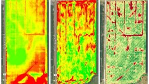 4-1 Integrate UAV Technology with Yield Maps