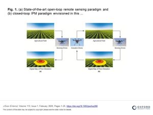 Figure 4-2 (a) State-of-the-art open-loop remote sensing paradigm and (b) closed-loop IPM paradigm envisioned in this article. Sensing drones could be used for detection of pest hotspots, while actuation drones could be used for precision distribution of solutions.