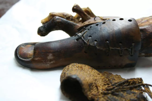 Figure 1 1: Ancient Egyptian Prosthetic Toe