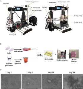 Figure 1‑16: 3D Printing mice stem cells on an Anet A8 printer