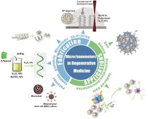 Figure 1‑18: Micro/nanomotors in Regenerative Medicine