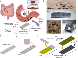 Figure 1‑19: Pangolin-inspired RF heating mechanism for untethered magnetic robots