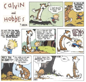 Calvin and Hobbes cartoon explained in text.