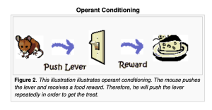Visual of a mouse needing to pull a lever to get a reward - demonstrating operant conditioning.