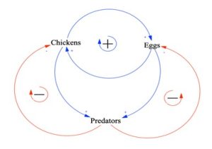 Figure 9-3: Chicken Model with Predation Included /Thus, the net effect of the introduction of predators into the model leads to a moderation of the growth in the number of chickens.This extremely simplistic model illustrates a very important point: the more variables you have in a model, the more complexity there will be. By adding one variable, we went from one feedback loop to five feedback loops.