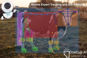 BETSY Tracking System/ OneCup AI was developed by cattle producers to improve the labor intensity of animal care on cattle operations. BETSY is a vision-based 360 Live identification platform that effectively identifies facial recognition and movement in animals for tracking and health event identification (Figure 8-6; ABP, 2022).