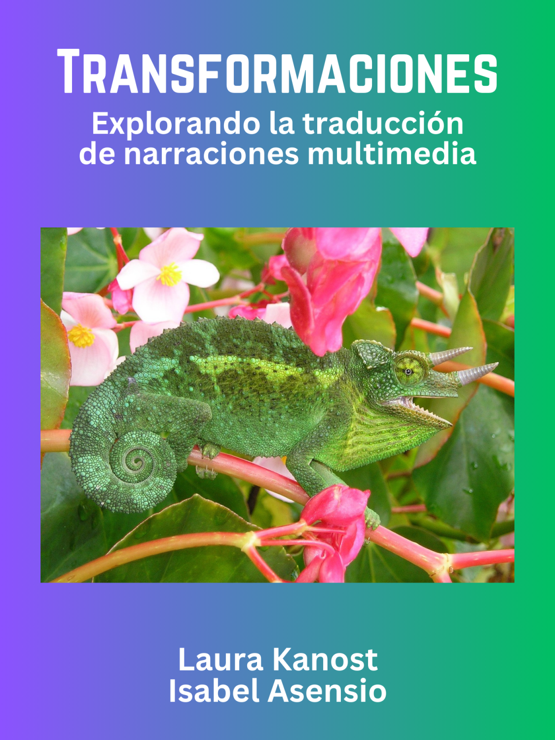 Cover image for Transformaciones