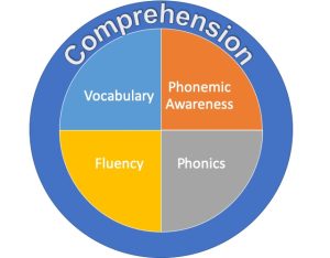 The Five Pillars of Reading Instruction - Phonemic Awareness, Phonics, Fluency, Vocabulary, Comprehension
