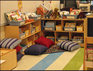 A kindergarten classroom library area with bookshelves with bins of books labeled by topic and large pillows on a carpet.